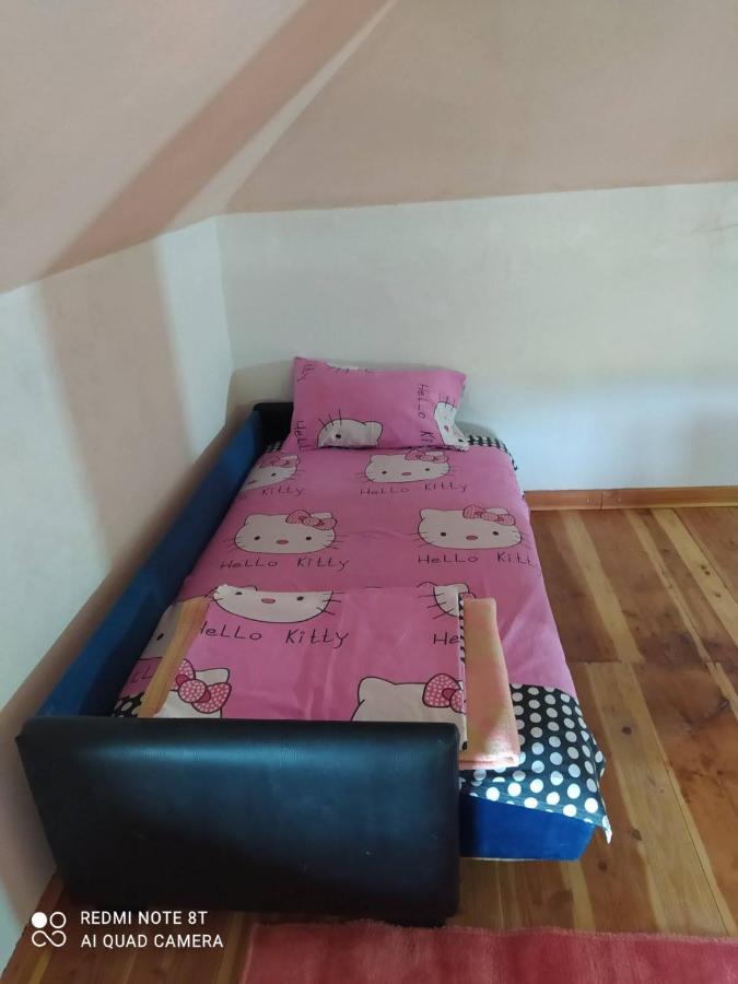 Vikendica Matic Βίλα Goc Εξωτερικό φωτογραφία