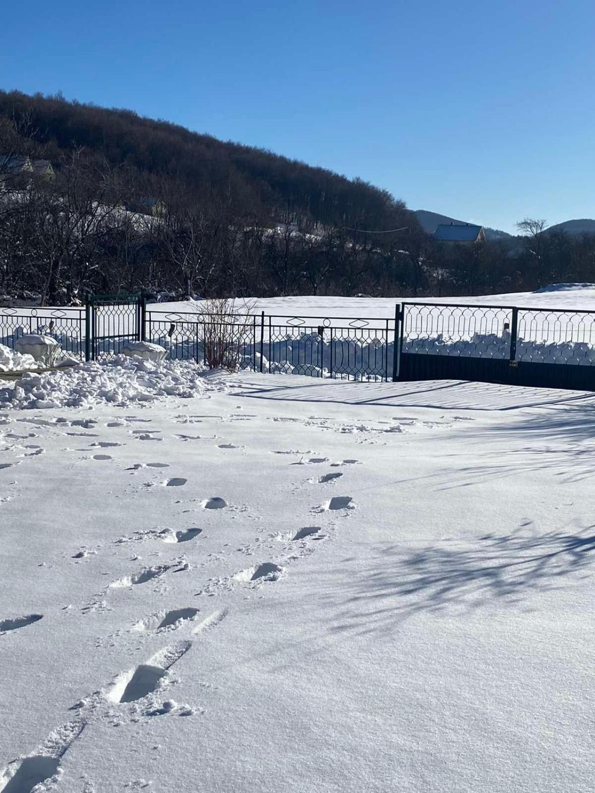 Vikendica Matic Βίλα Goc Εξωτερικό φωτογραφία